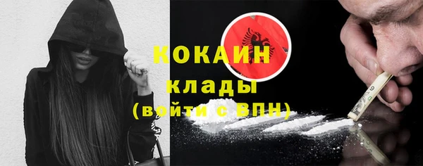 гашиш Богданович