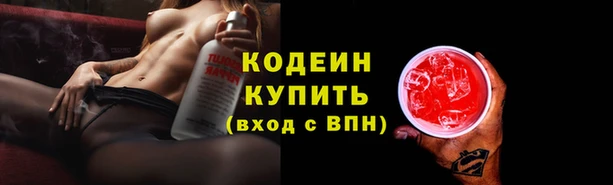 шишки Богородицк