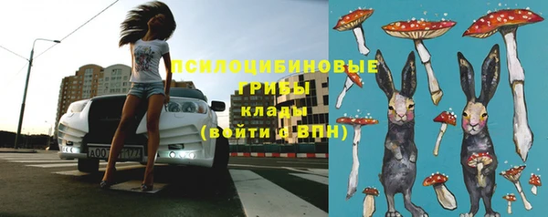 спиды Тихорецк