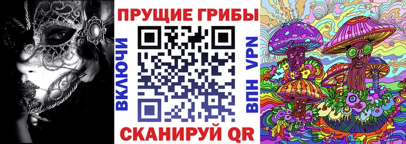 Галлюциногенные грибы Magic Shrooms  Верхотурье 